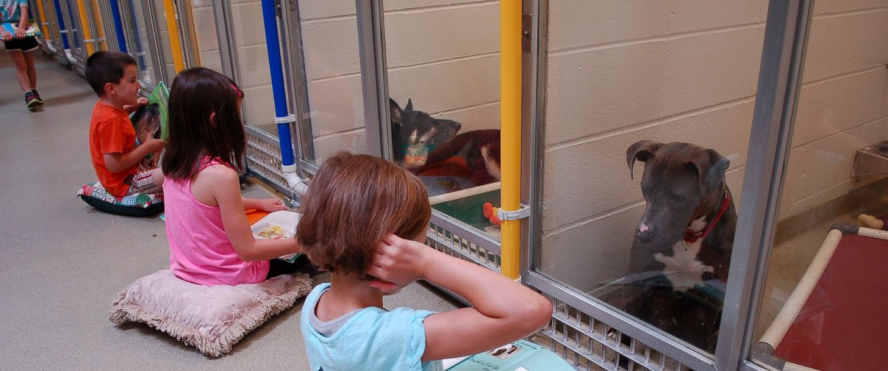 HT_1_Shelter_Buddies_at_Humane_Society_of_Missouri_ml_160224_12x5_1600