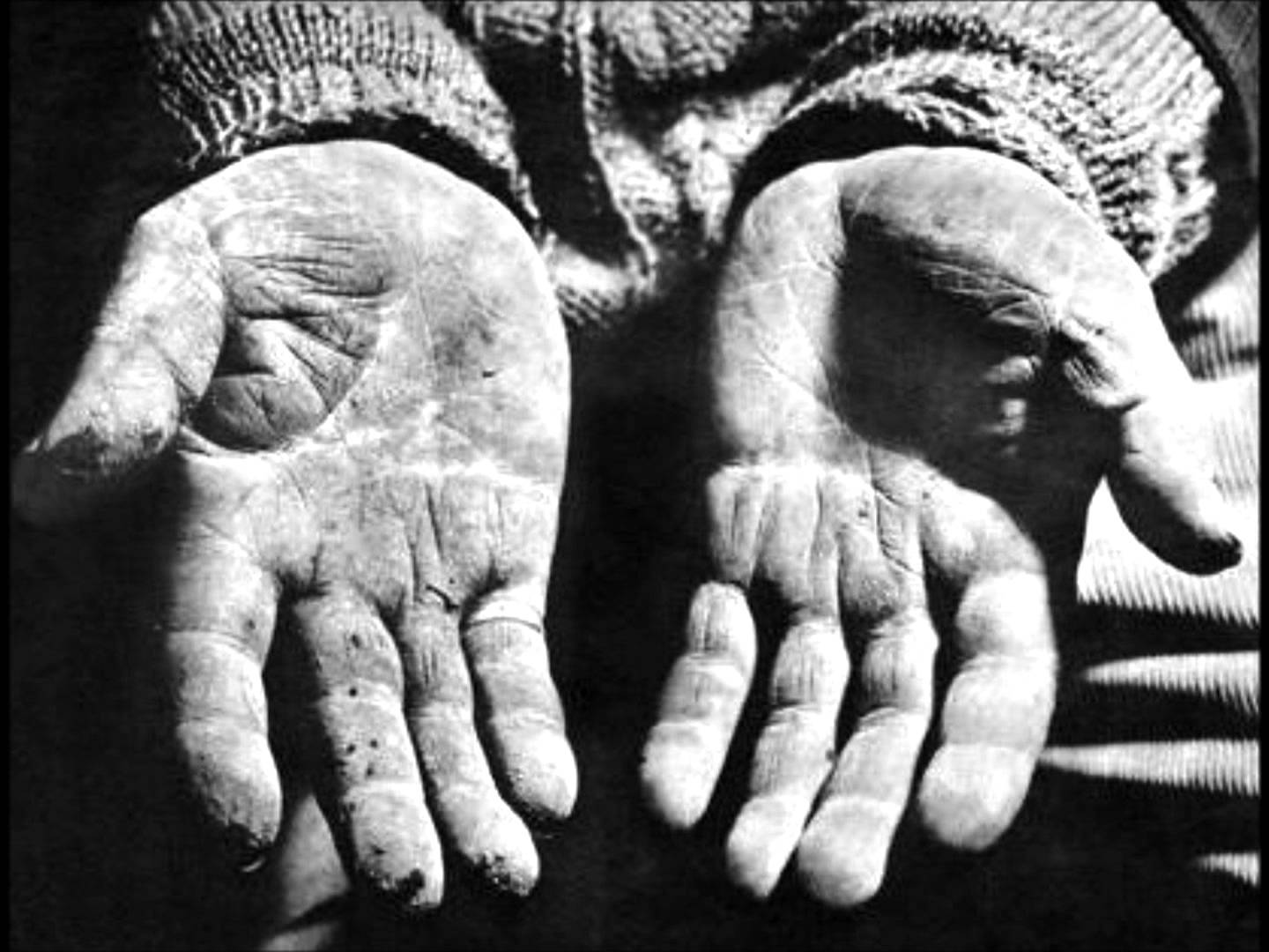 En el marco de la semana de la fotografía, hacemos un recorrido por el trabajo de fotógrafas y fotógrafos latinoamericanos