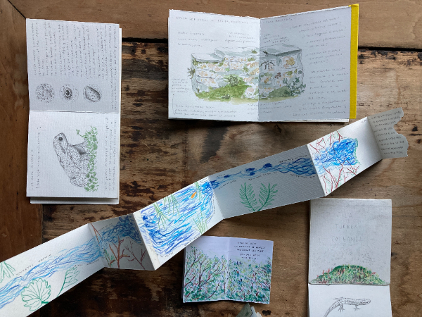 Foto con pequeños cuadernos artesanales con ilustraciones de flora y fauna, acompañadas por información.